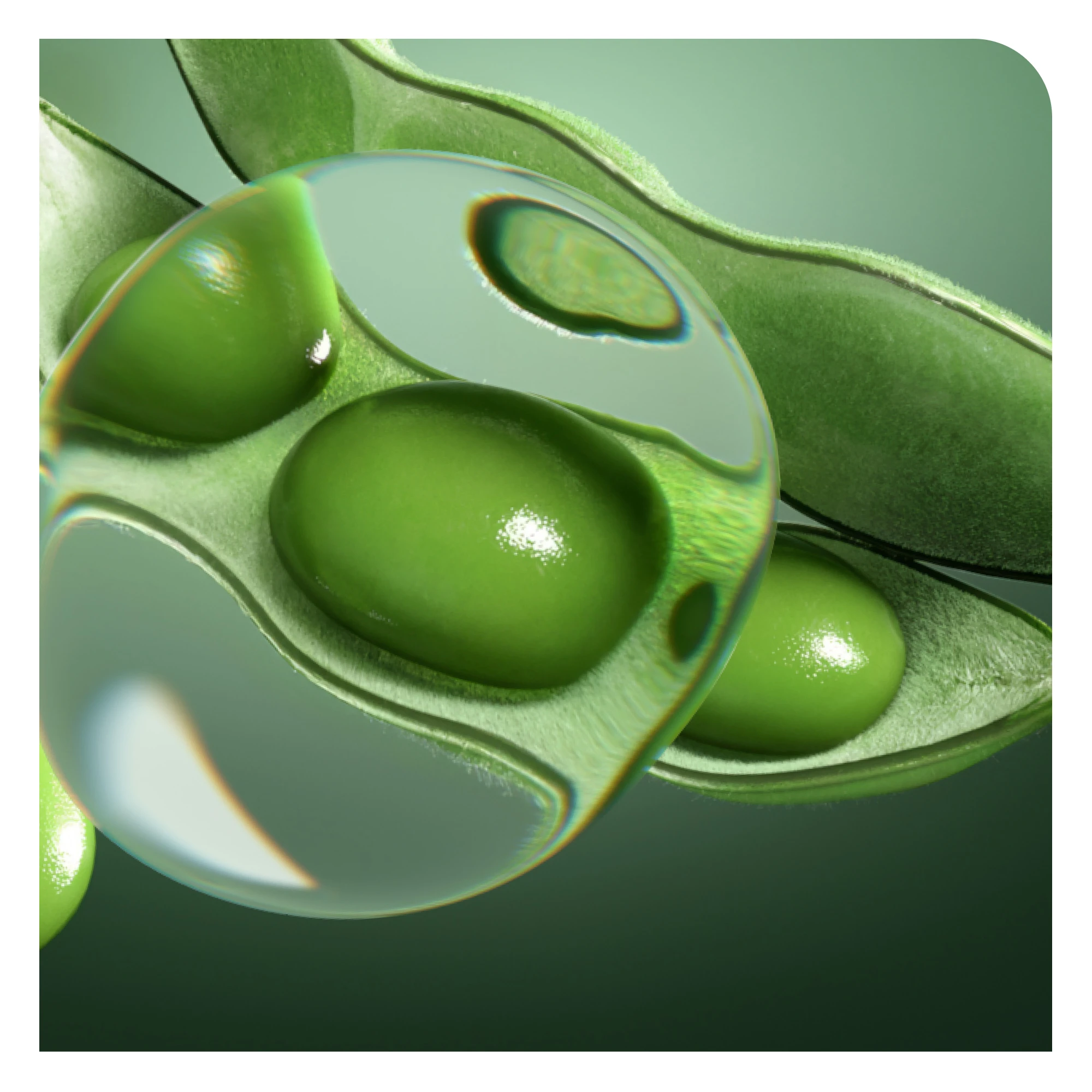 Biolage Volume Boost regenerator 400ml
