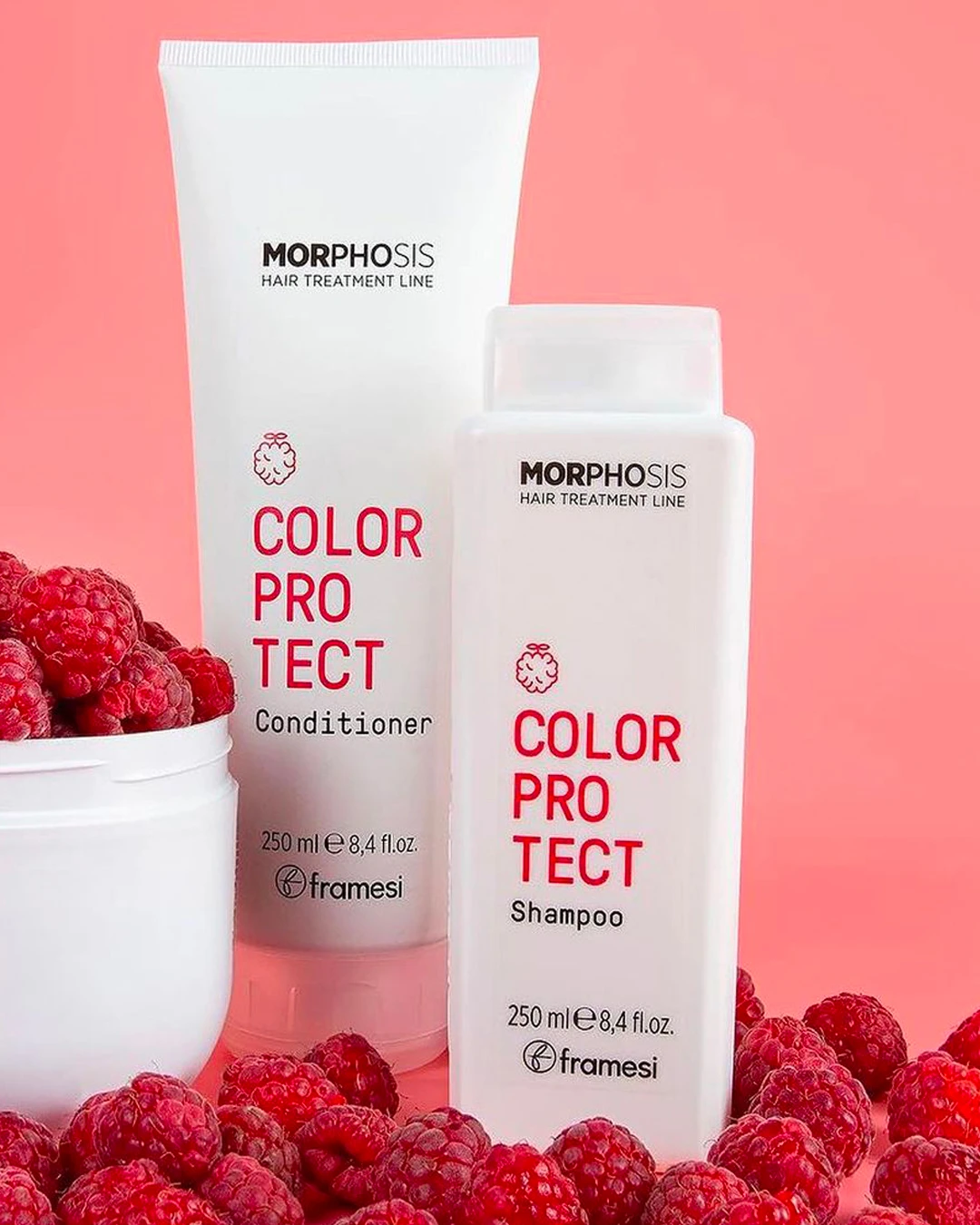 Framesi MORPHOSIS Color Protect regenerator 250ml