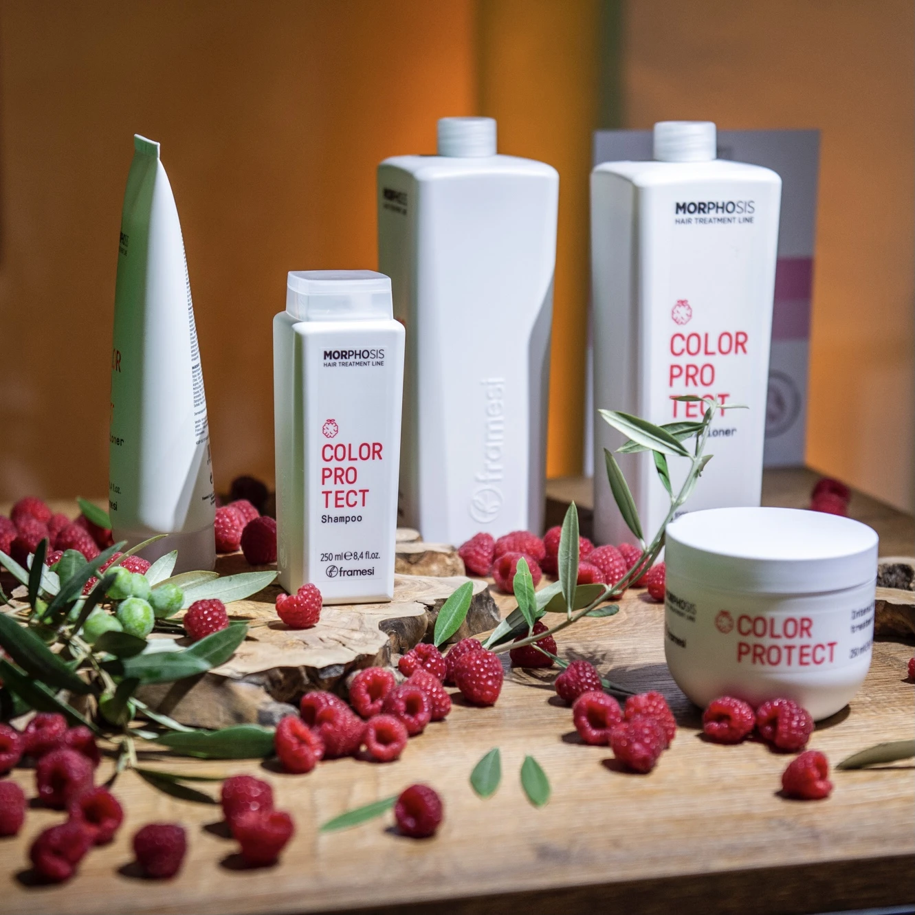Framesi MORPHOSIS Color Protect  intenzivni tretman 500ml